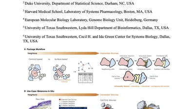 3D Spatial Analysis of Cell-Cell Interactions in Tumor-Immune Microenvironments featured image