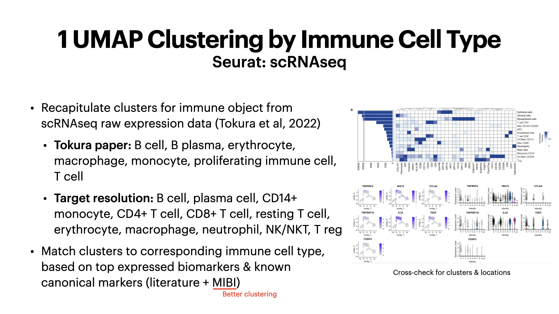Differential Gene Expression in Breast Cancer Tumor-Immune Microenvironment: DCIS Non- vs Progressors — slide 5