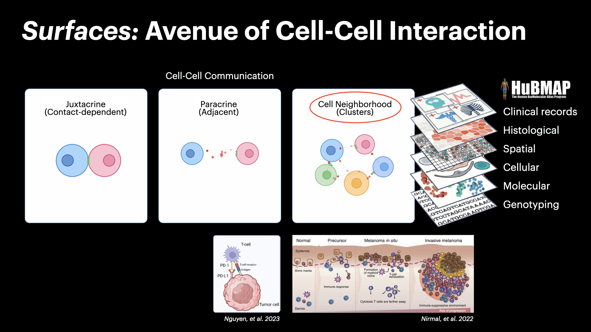 InterSCellar: Surface-Based Cell Neighborhood & Interaction Volume Analysis in 3D Spatial Omics — slide 2