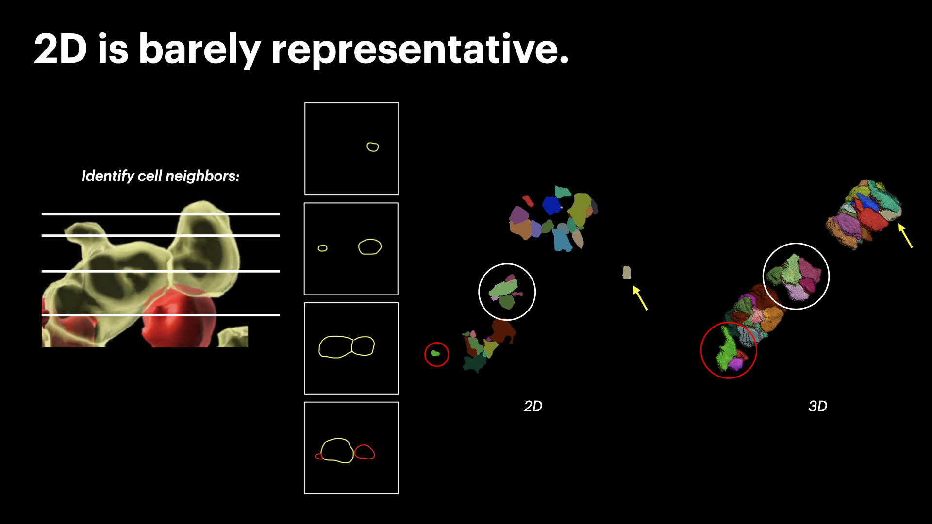 InterSCellar: Surface-Based Cell Neighborhood & Interaction Volume Analysis in 3D Spatial Omics — slide 3