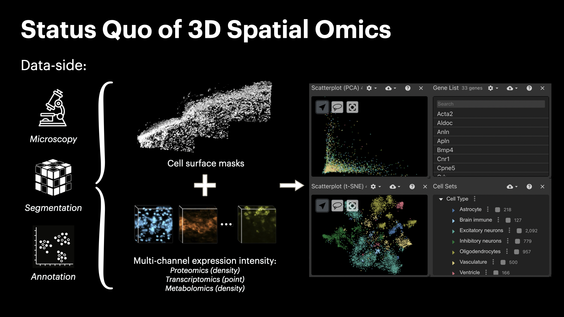 InterSCellar: Surface-Based Cell Neighborhood & Interaction Volume Analysis in 3D Spatial Omics — slide 4