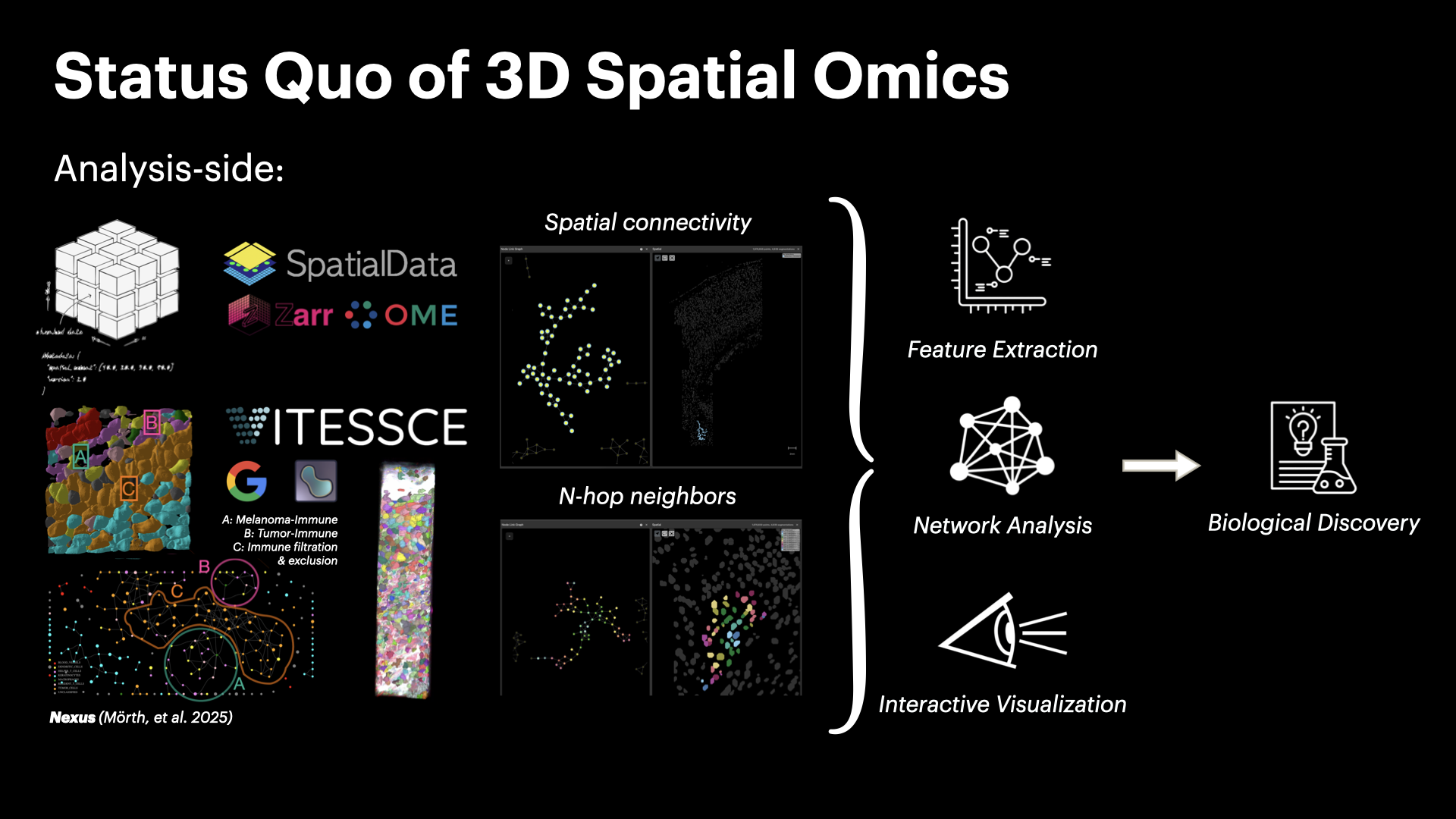 InterSCellar: Surface-Based Cell Neighborhood & Interaction Volume Analysis in 3D Spatial Omics — slide 5