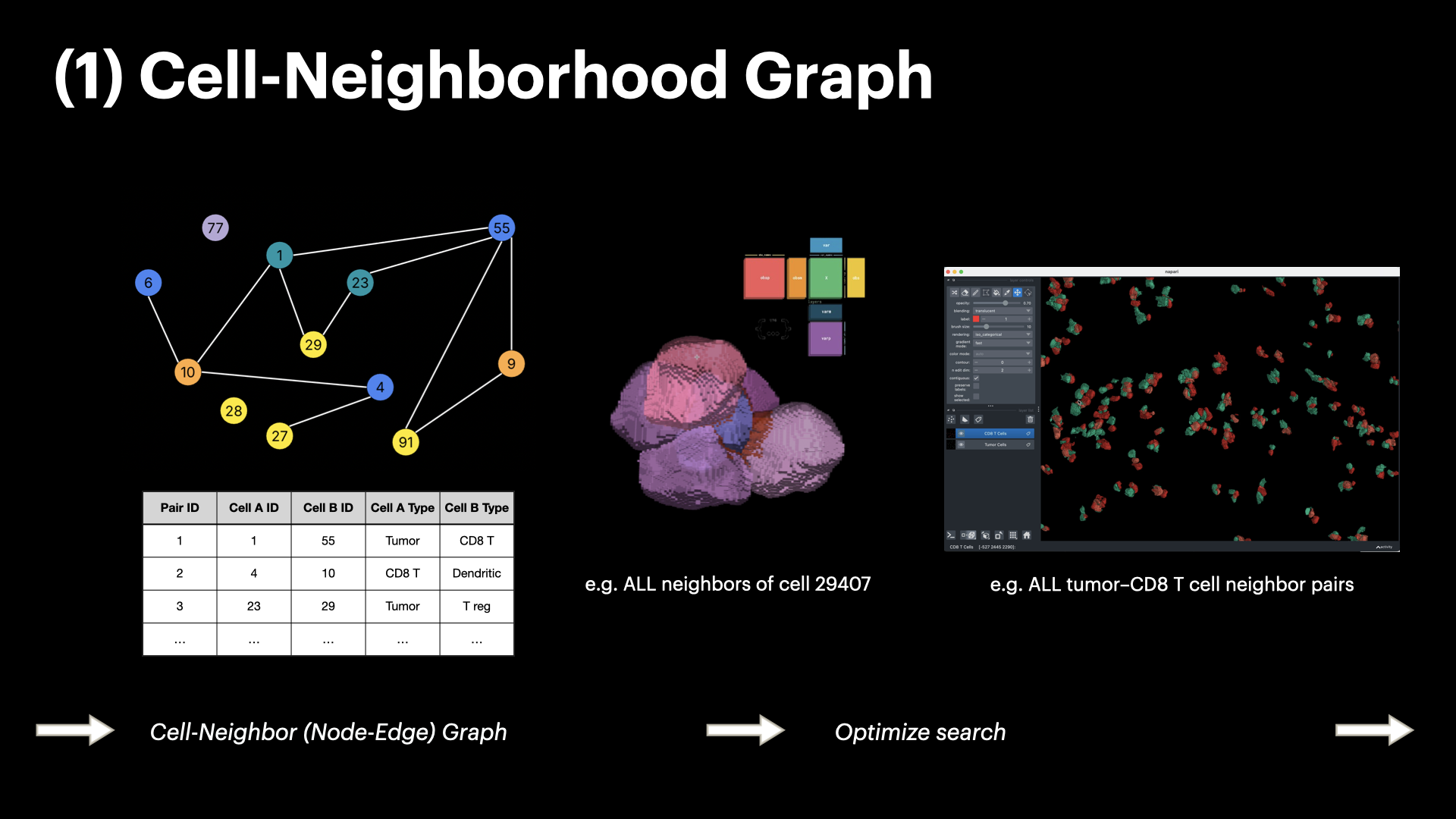 InterSCellar: Surface-Based Cell Neighborhood & Interaction Volume Analysis in 3D Spatial Omics — slide 9