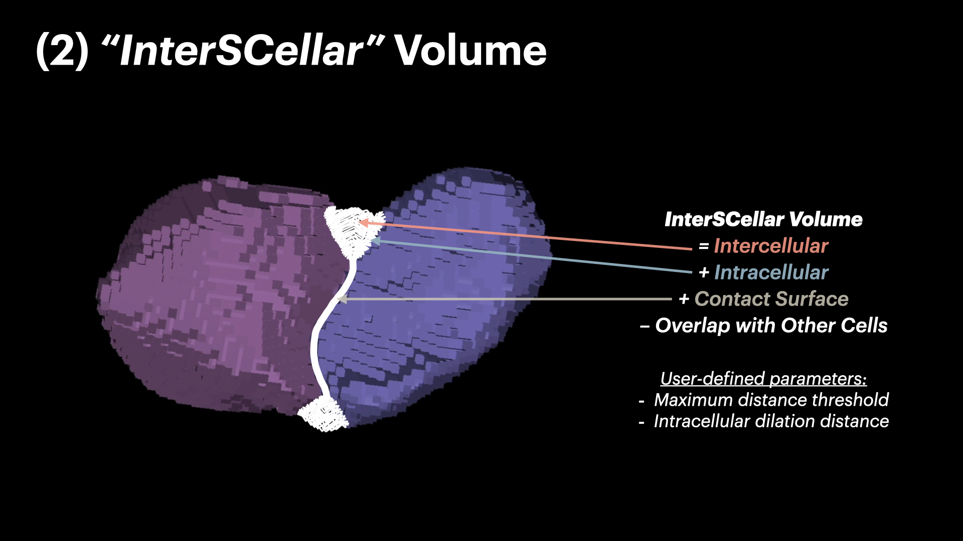 InterSCellar: Surface-Based Cell Neighborhood & Interaction Volume Analysis in 3D Spatial Omics — slide 11