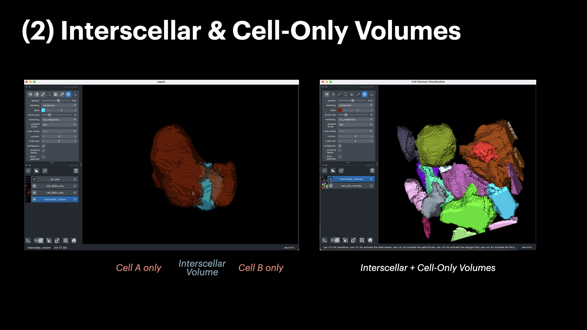 InterSCellar: Surface-Based Cell Neighborhood & Interaction Volume Analysis in 3D Spatial Omics — slide 12