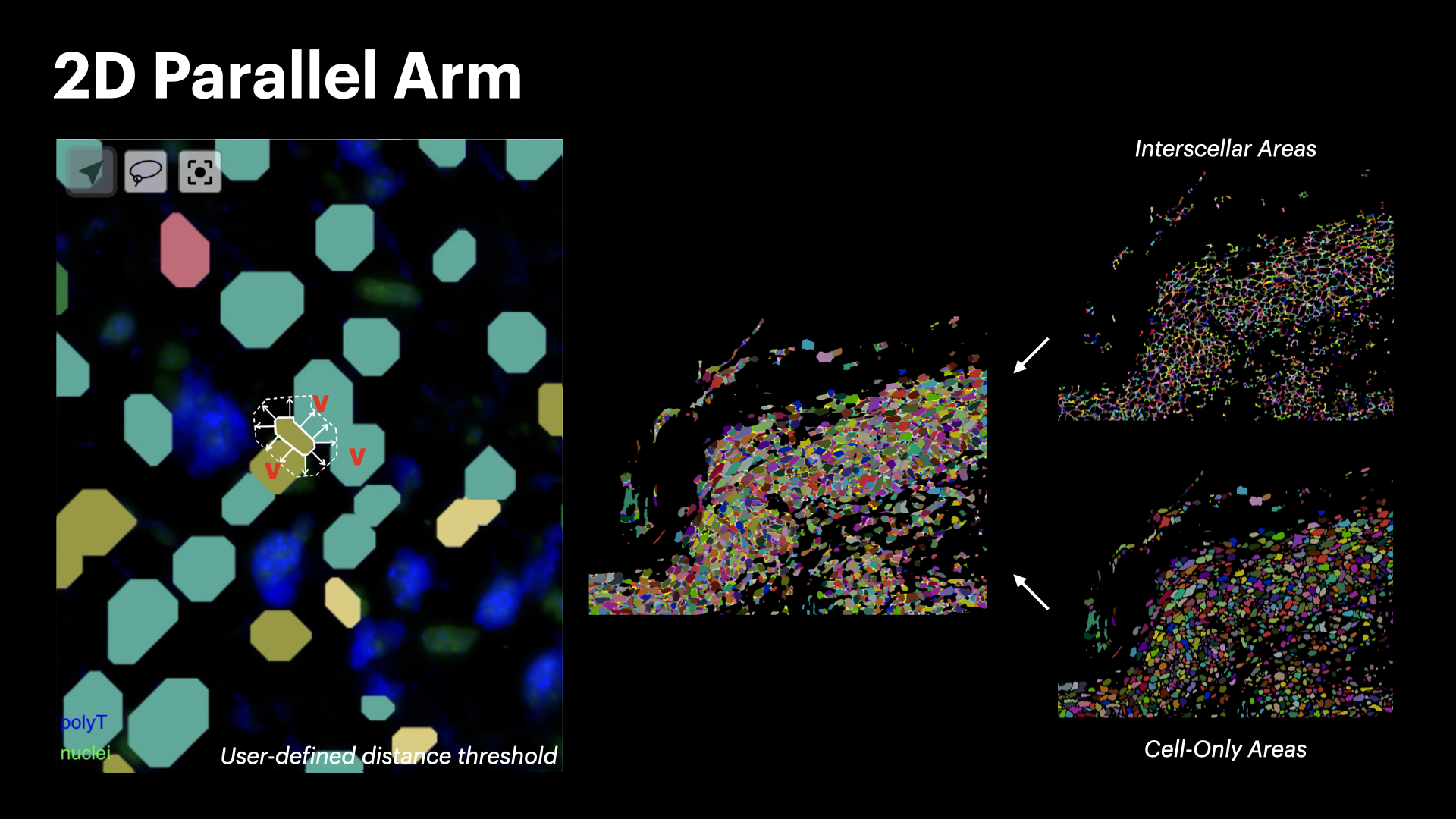InterSCellar: Surface-Based Cell Neighborhood & Interaction Volume Analysis in 3D Spatial Omics — slide 13