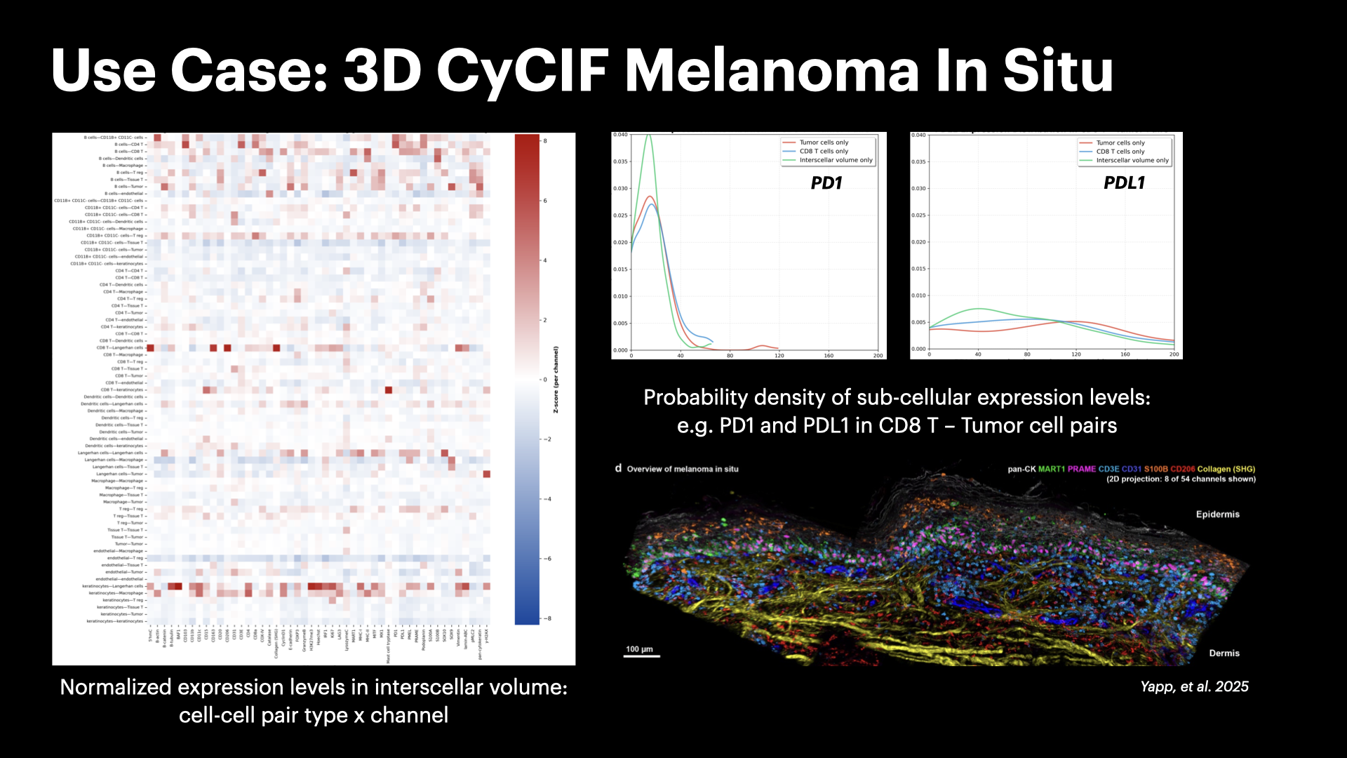 InterSCellar: Surface-Based Cell Neighborhood & Interaction Volume Analysis in 3D Spatial Omics — slide 15