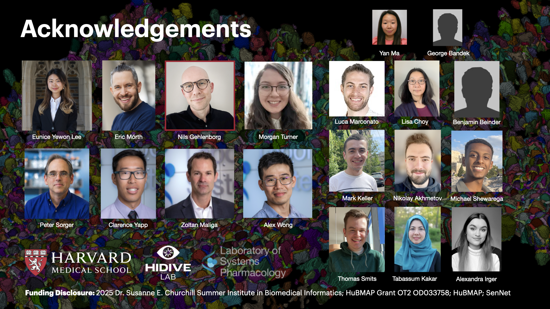 InterSCellar: Surface-Based Cell Neighborhood & Interaction Volume Analysis in 3D Spatial Omics — slide 17