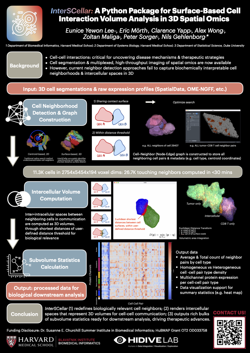 InterSCellar: Surface-Based Cell Interaction Volume Analysis in 3D Spatial Omics