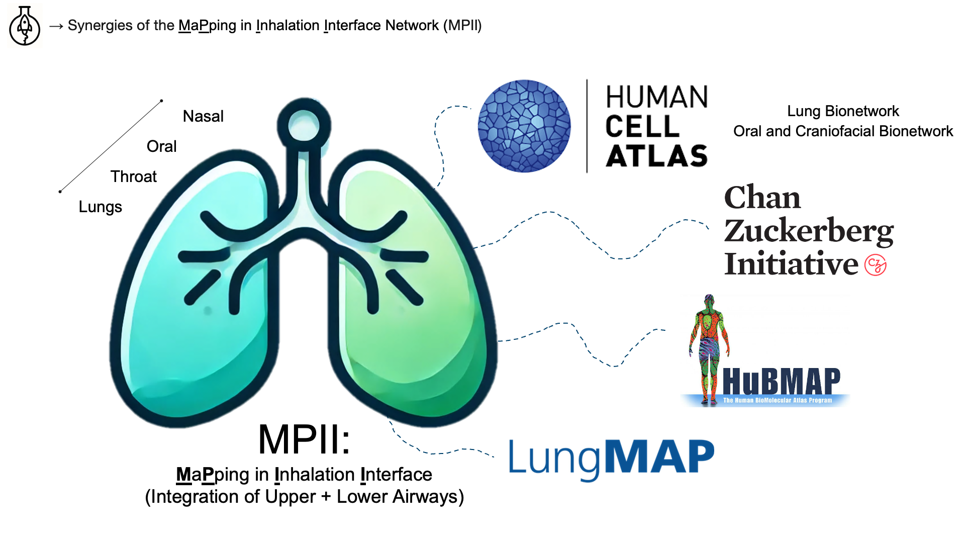 Chan Zuckerberg Initiative: Mapping the Pediatric Inhalation Interface