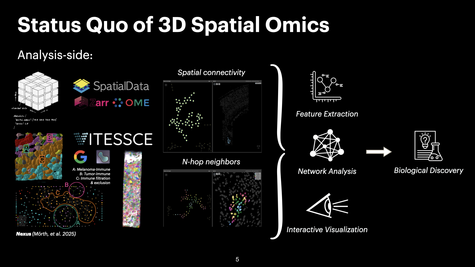 3D Spatial Analysis of Cell-Cell Interactions in Tumor-Immune Microenvironments — slide 5