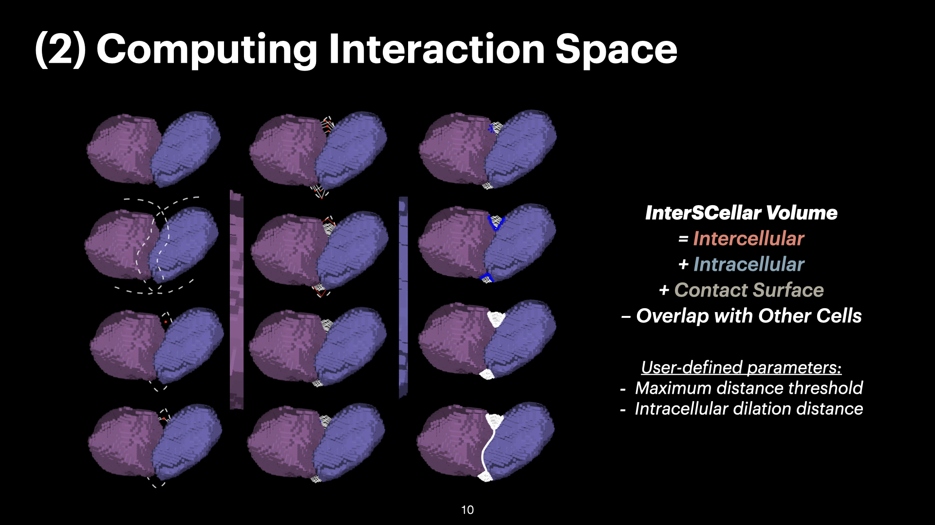 3D Spatial Analysis of Cell-Cell Interactions in Tumor-Immune Microenvironments — slide 10