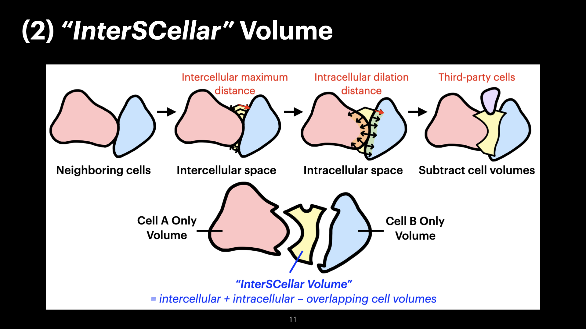 3D Spatial Analysis of Cell-Cell Interactions in Tumor-Immune Microenvironments — slide 11