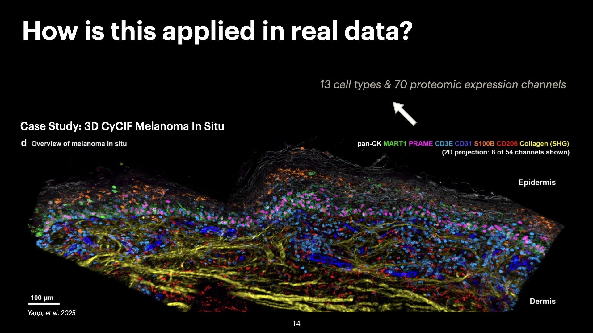3D Spatial Analysis of Cell-Cell Interactions in Tumor-Immune Microenvironments — slide 14