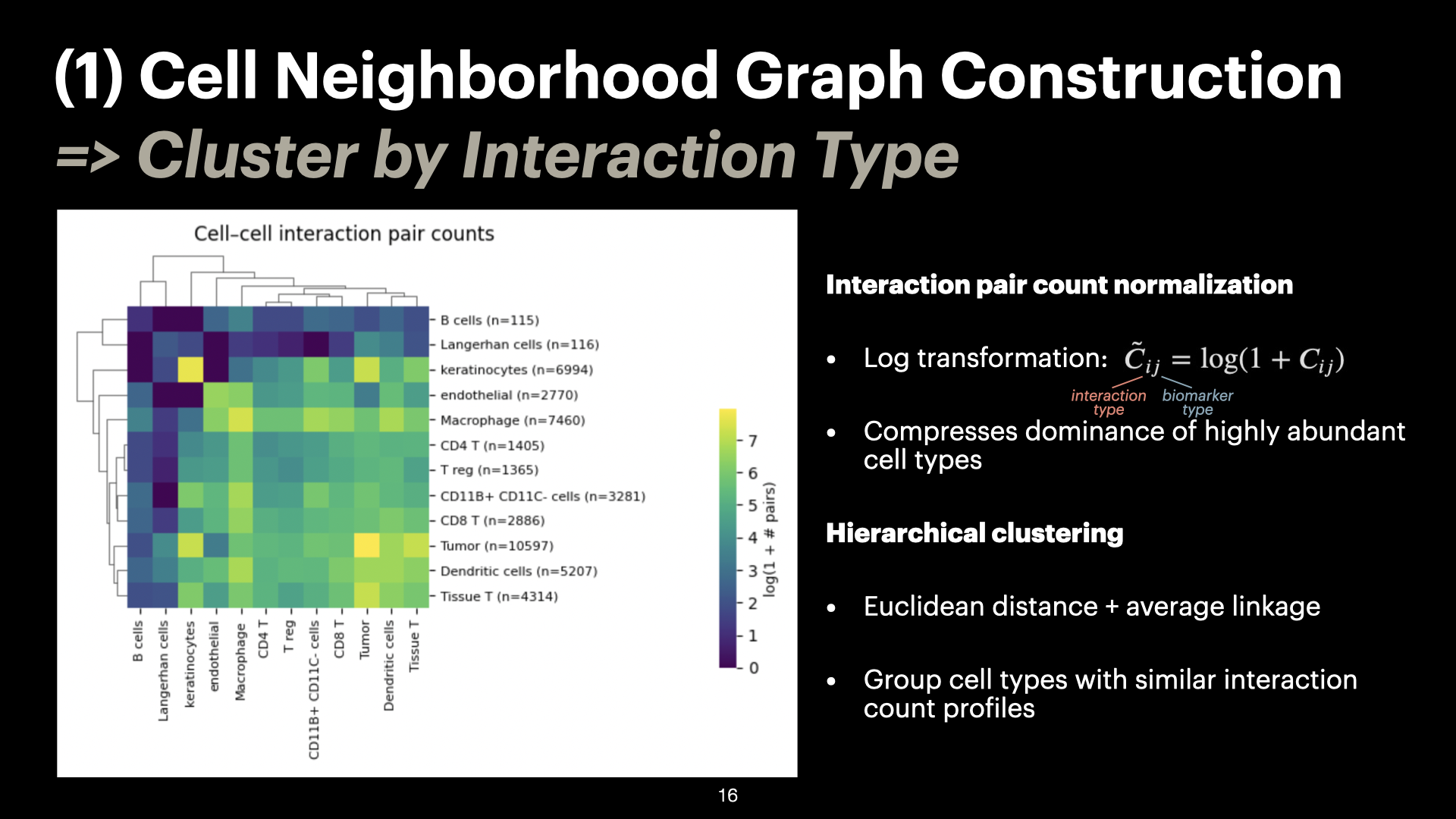 3D Spatial Analysis of Cell-Cell Interactions in Tumor-Immune Microenvironments — slide 16