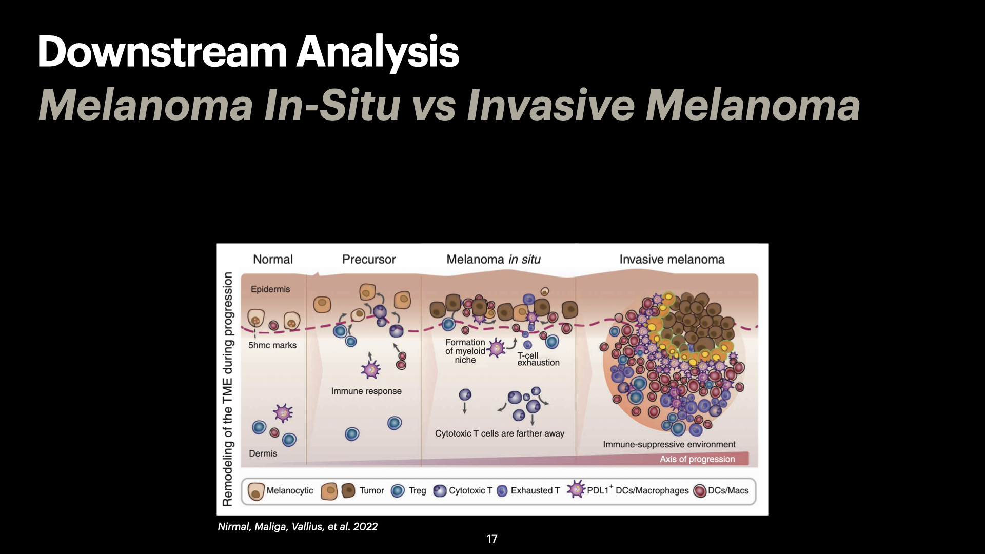 3D Spatial Analysis of Cell-Cell Interactions in Tumor-Immune Microenvironments — slide 17