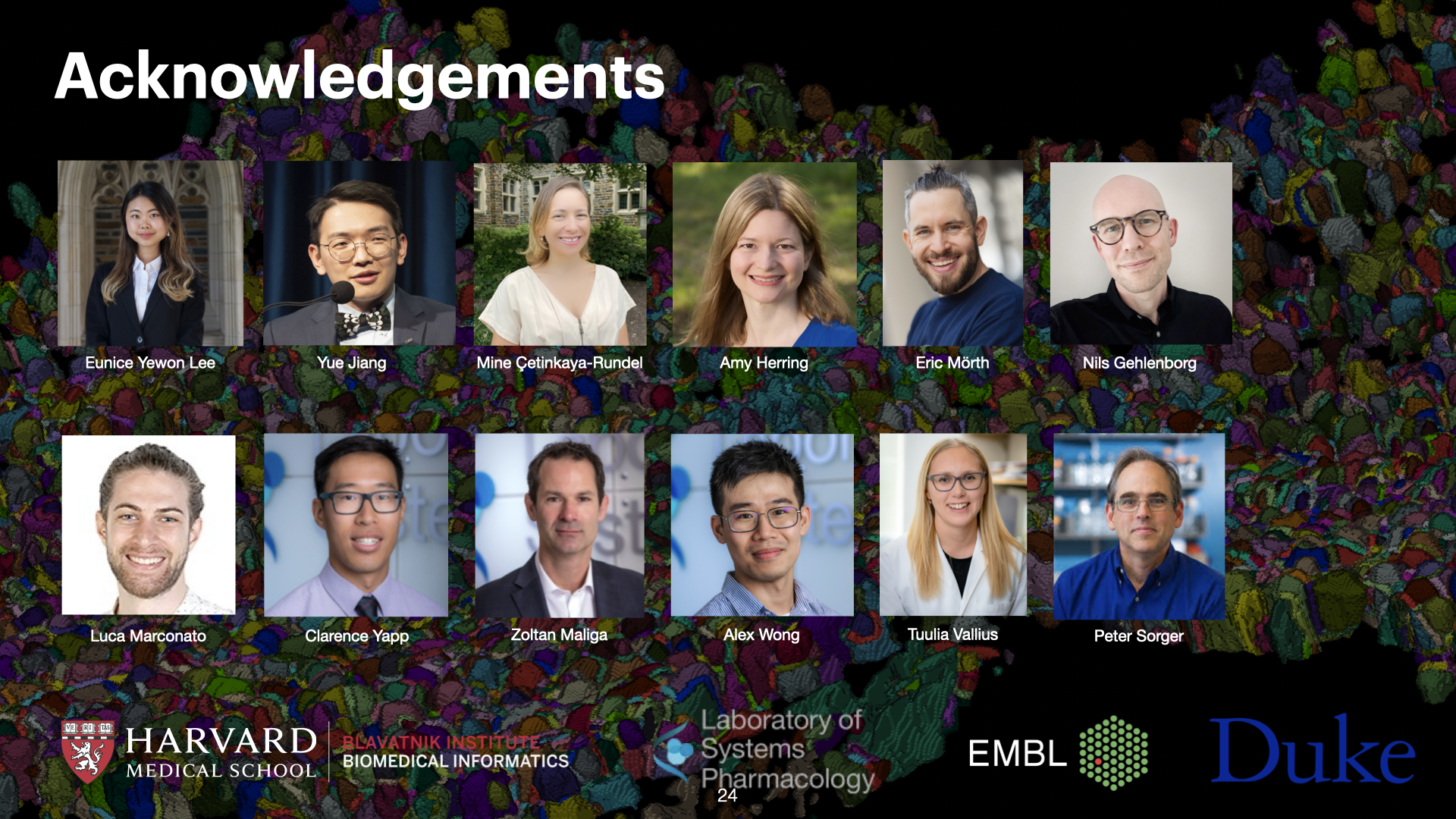 3D Spatial Analysis of Cell-Cell Interactions in Tumor-Immune Microenvironments — slide 24